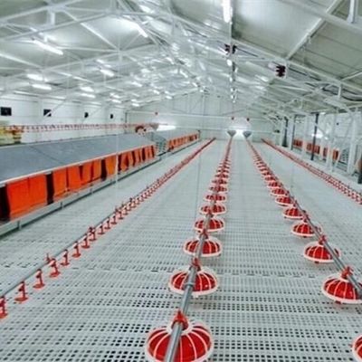 Duck Broiler 100% PP UV Poultry Slat Flooring