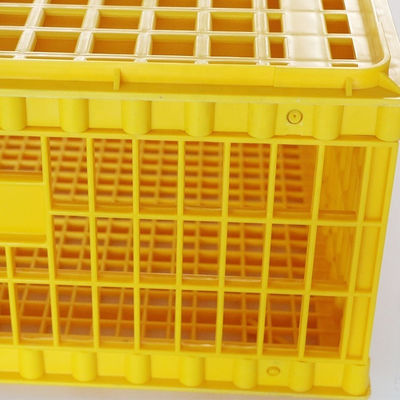 10 Chicken Plastic 12.25 Inches Detachable Poultry Transport Cage