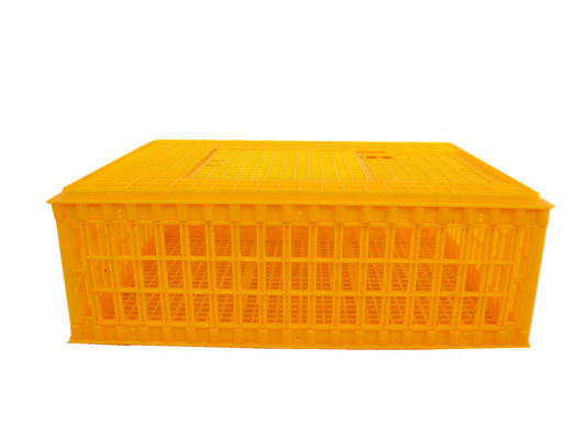 10 Chicken Plastic 12.25 Inches Detachable Poultry Transport Cage