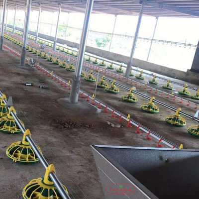 Pollo que bebe el equipo de cultivo automático de Pan Feeding System For Poultry